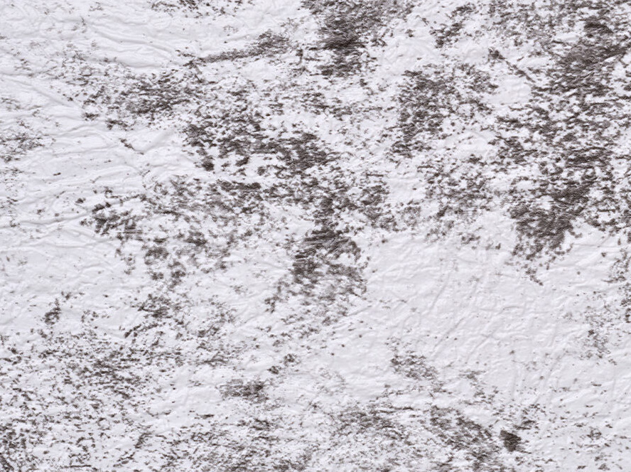    Glacial sandstone TF ( ) . 2